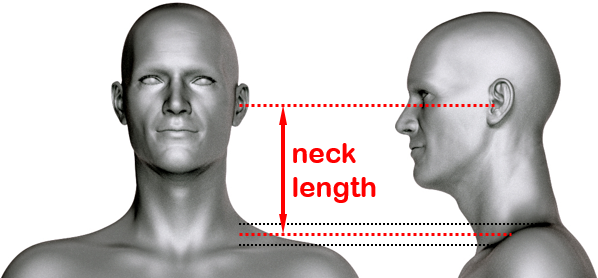 Neck length definition