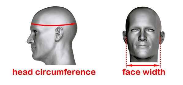 Head and Face definition